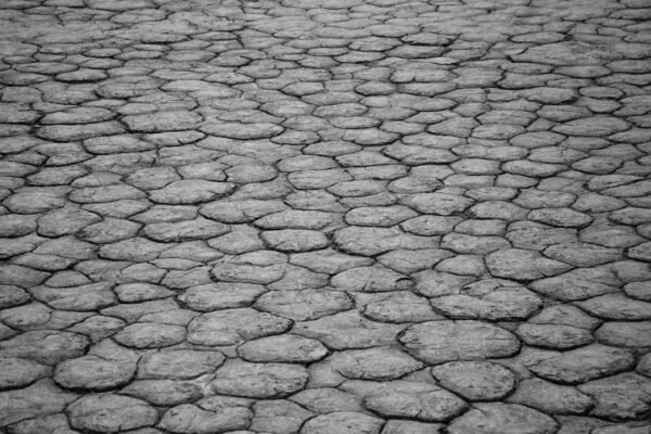EE.UU. enfrenta escasez de agua: recortes históricos en el Colorado