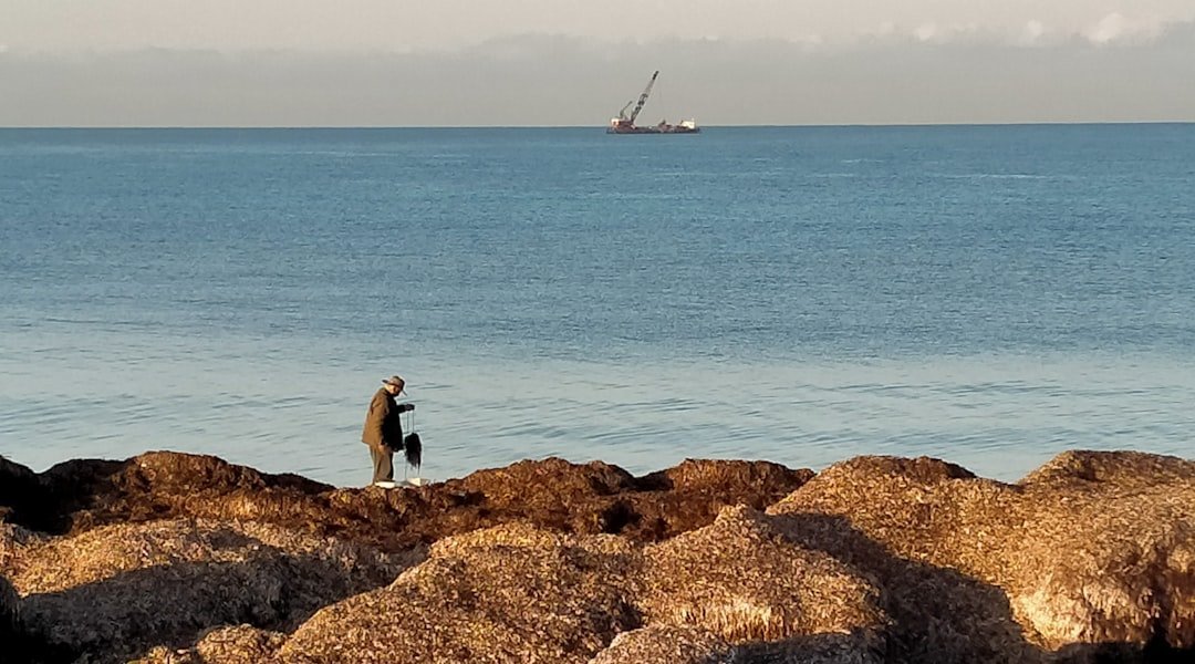 Sargazo masivo amenaza costas mexicanas: la crisis invisible del Caribe
