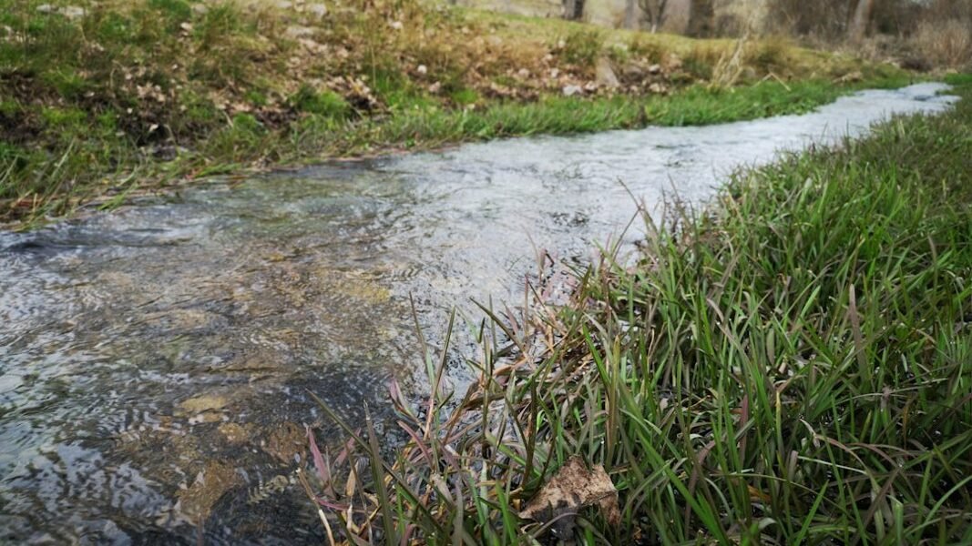 Sonora: doce años después, el río espera justicia ambiental