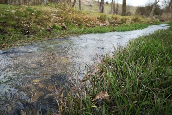 Sonora: doce años después, el río espera justicia ambiental