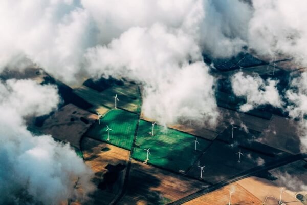 México necesita 272 mil mdd para reinventar su economía verde