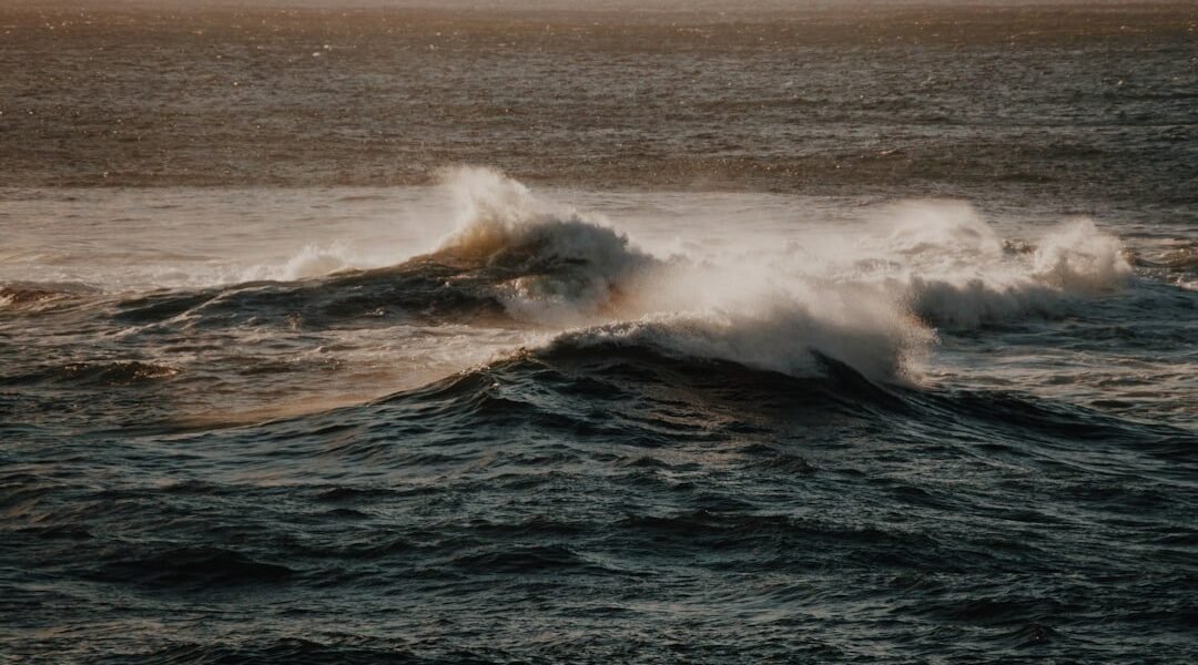 Océanos en alerta: temperaturas récord amenazan ecosistemas de América Latina