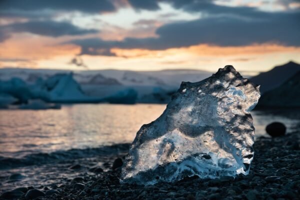 El paradójico deshielo: cuando la crisis climática alimenta la vida marina