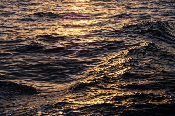 Océanos en alerta máxima: récord histórico de temperatura marina golpea Latinoamérica