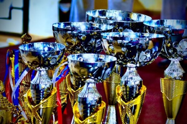 Premios corporativos: ¿Celebración de liderazgo o teatro del poder empresarial?