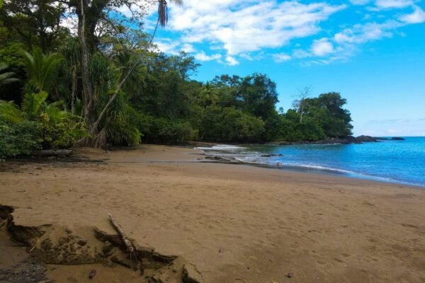 Costa Rica se posiciona como destino de retiro: qué hay detrás del reconocimiento