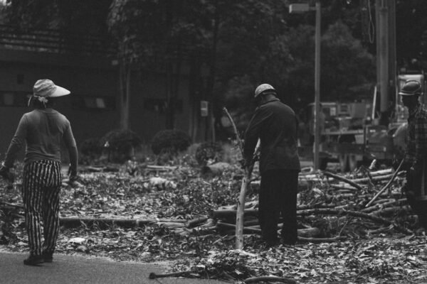 Desaparición de pareja mexicana en Colombia tras sismo genera búsqueda internacional