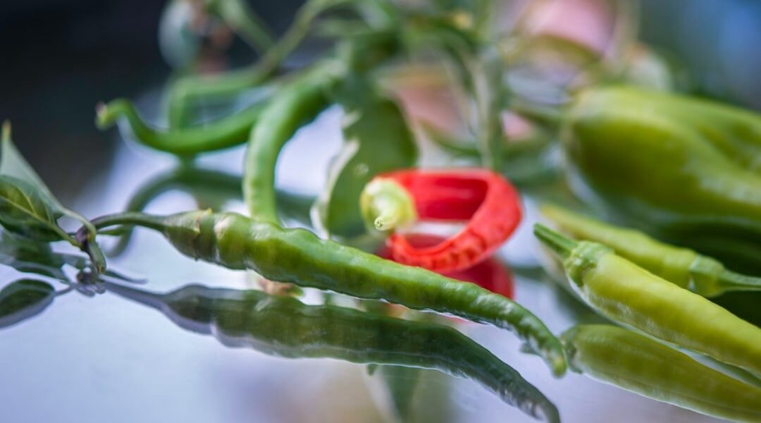 México investiga contaminación por Salmonella en jalapeños ante alertas desde EE.UU.