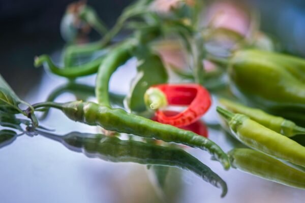 México investiga contaminación por Salmonella en jalapeños ante alertas desde EE.UU.