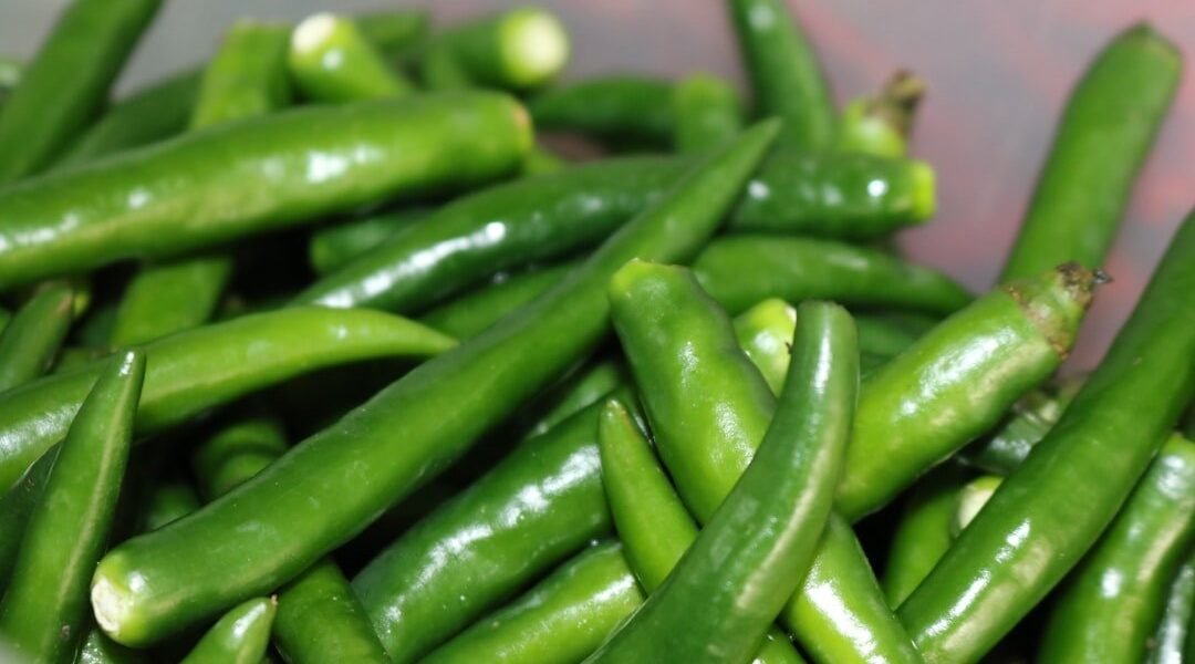 México investiga contaminación por Salmonella en jalapeños ante alertas de EE.UU.