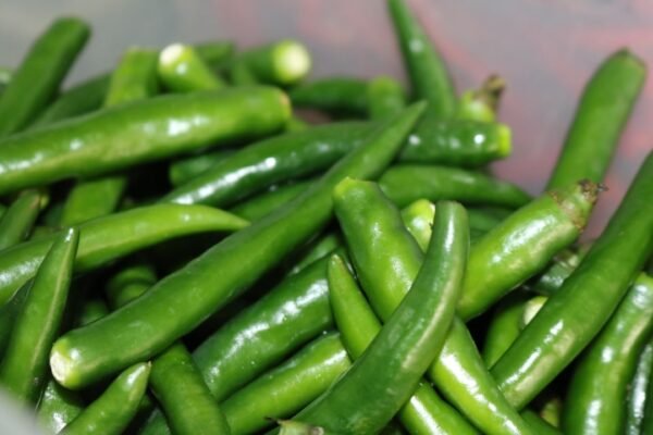 México investiga contaminación por Salmonella en jalapeños ante alertas de EE.UU.