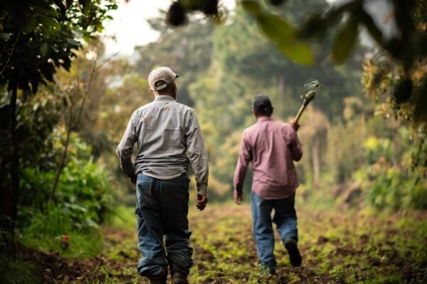Guerrero apuesta por transformación integral en La Montaña