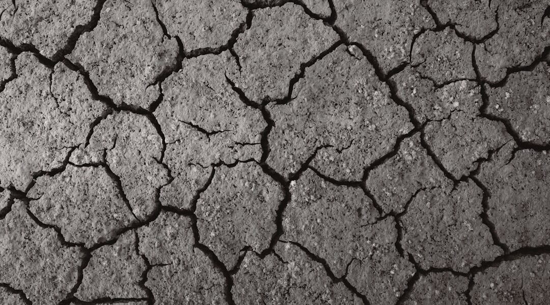 Latinoamérica en la encrucijada: tierra agotada, hambre de soluciones