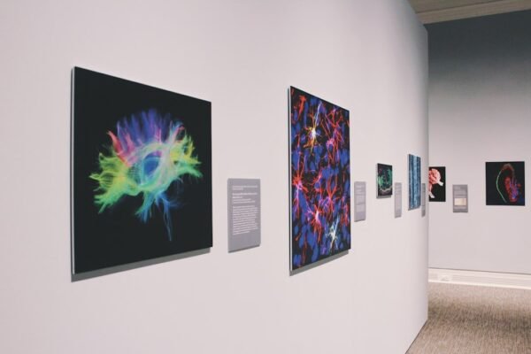 Samsung convierte tu televisor en galería de arte: ¿marketing o democratización cultural?
