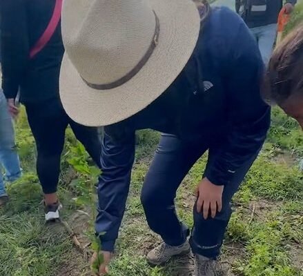 Chalco planta 5 mil árboles en jornada de reforestación impulsada por Sheinbaum