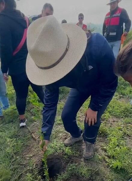 Chalco planta 5 mil árboles en jornada de reforestación impulsada por Sheinbaum