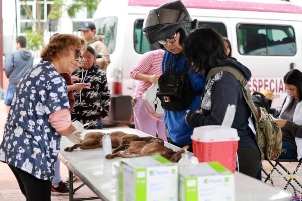 Chimalhuacán esteriliza 6 mil mascotas: nueva jornada gratuita en octubre