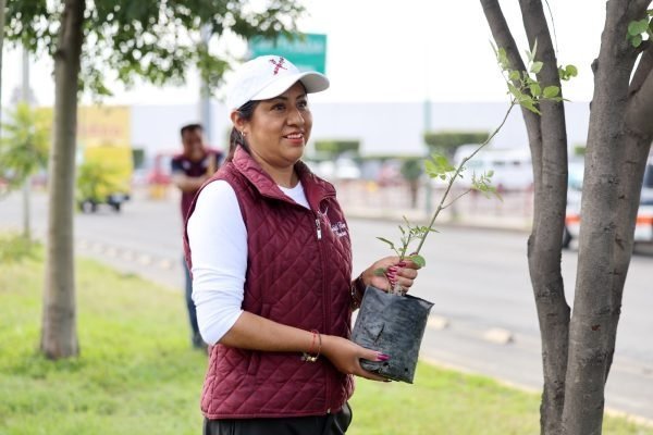 Chimalhuacán planta mil árboles para combatir el cambio climático