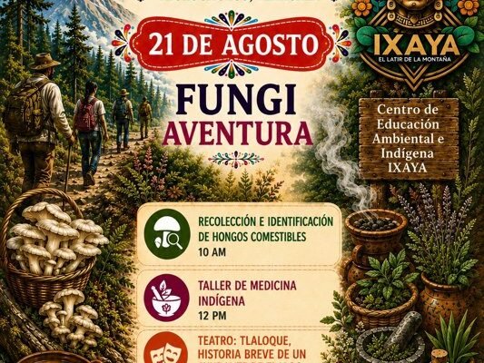 Teolocholco prepara su tercera edición del Festival de Hongos Comestibles