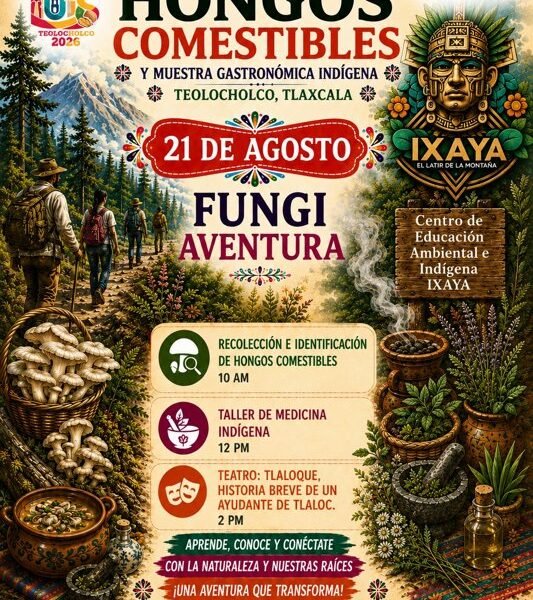 Teolocholco prepara su tercera edición del Festival de Hongos Comestibles