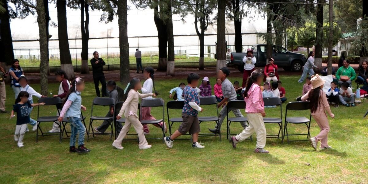 Probosque abre sus puertas a niños en primer curso de verano sobre educación forestal