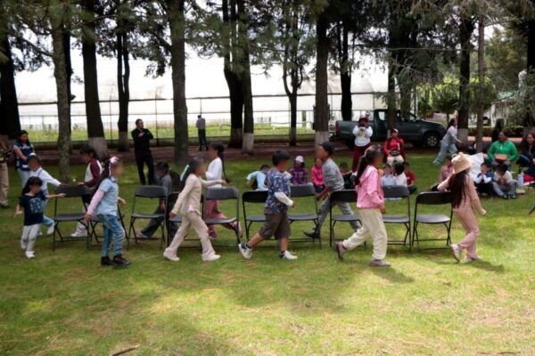 Probosque abre sus puertas a niños en primer curso de verano sobre educación forestal