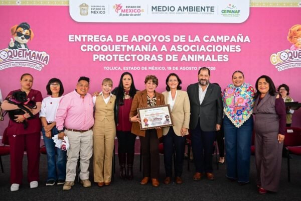 Croquetmanía: 94 toneladas de alimento para mascotas rescatadas en el Estado de México