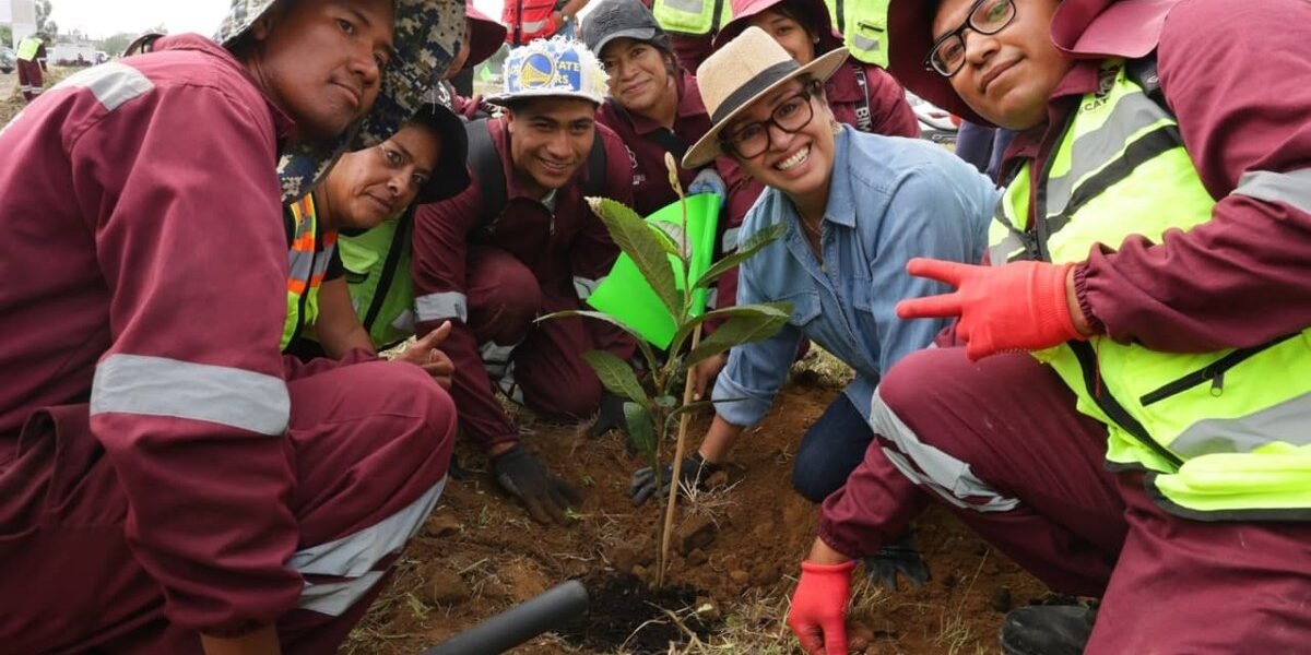 Ecatepec planta 3 mil árboles para recuperar espacios degradados