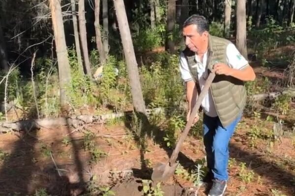 Ecatzingo se suma a la Jornada Nacional de Reforestación 2026