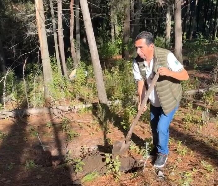 Ecatzingo se suma a la Jornada Nacional de Reforestación 2026