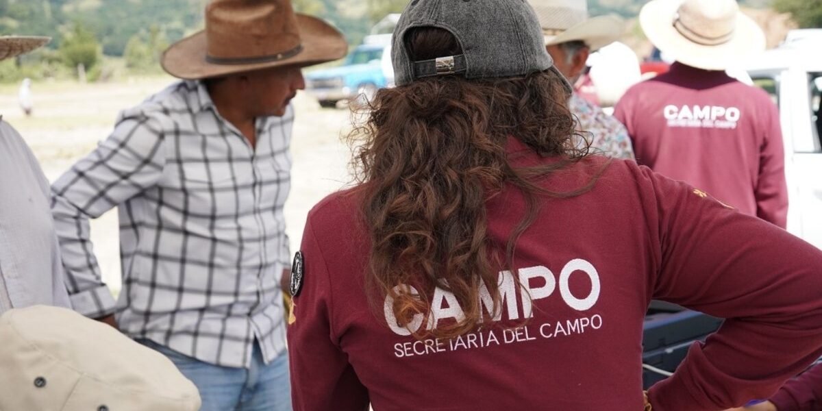 Estado de México inicia jornadas de medicina preventiva para ganado bovino