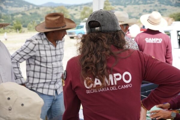 Estado de México inicia jornadas de medicina preventiva para ganado bovino