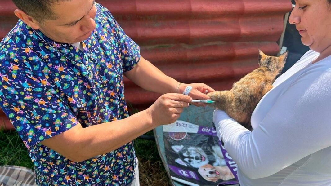 Amecameca continúa con jornadas de esterilización animal en Santa Isabel Chalma