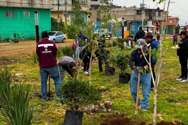 La Paz siembra 500 árboles en jornada nacional de reforestación