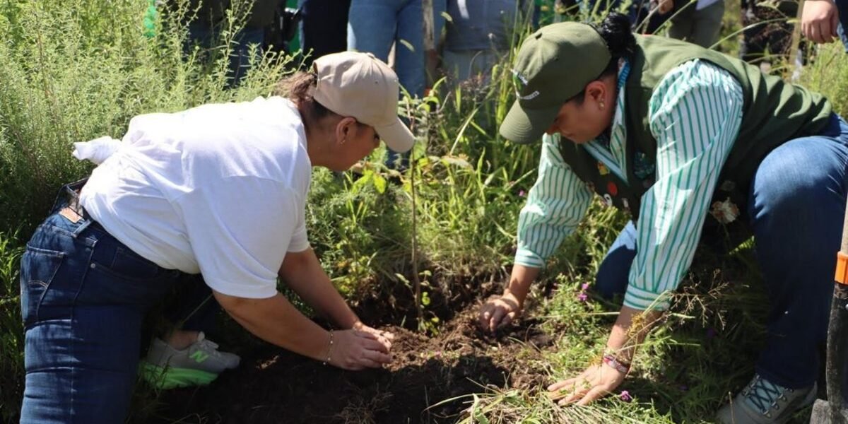 EdoMéx y Fundación Simiplaneta unen fuerzas para proteger ecosistemas
