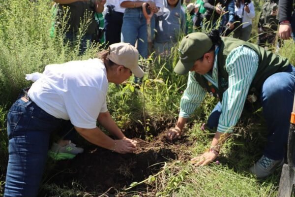 EdoMéx y Fundación Simiplaneta unen fuerzas para proteger ecosistemas