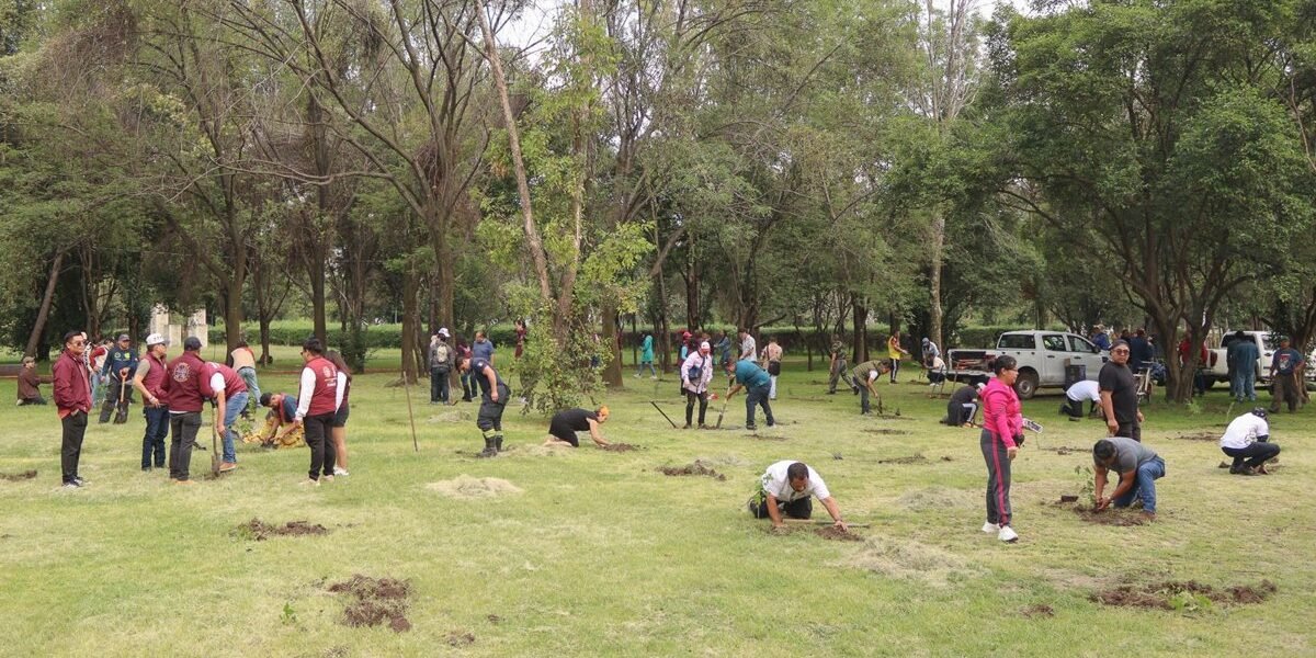 Naucalpan planta 300 árboles en jornada nacional de reforestación 2026