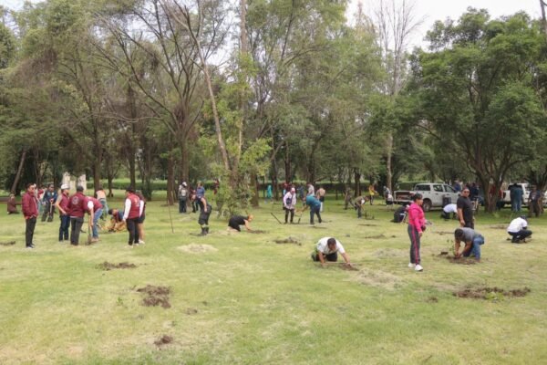 Naucalpan planta 300 árboles en jornada nacional de reforestación 2026