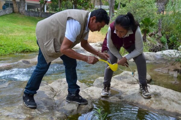 Estado de México recibe certificación federal por 29 años sin paludismo
