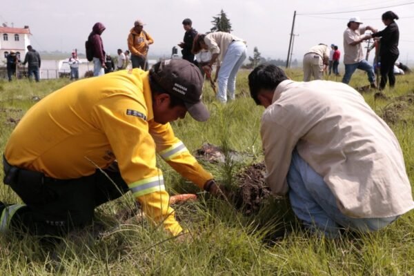 Estado de México invita a escuelas a plantar árboles el 3 de septiembre