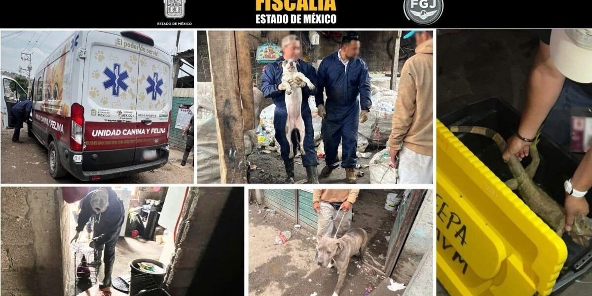 Pareja detenida por explotar laboralmente a sus hijos en Tultitlán