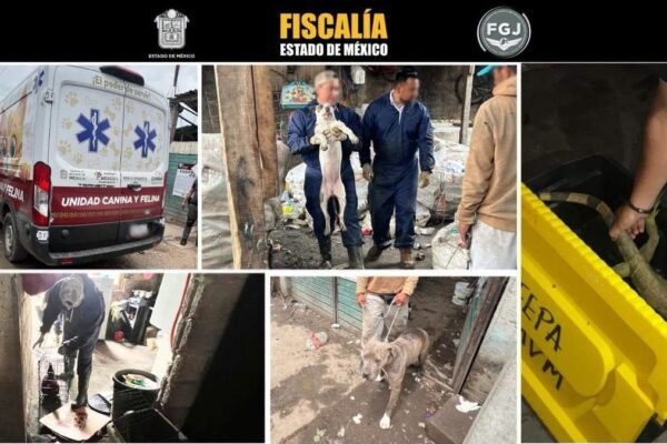 Pareja detenida por explotar laboralmente a sus hijos en Tultitlán