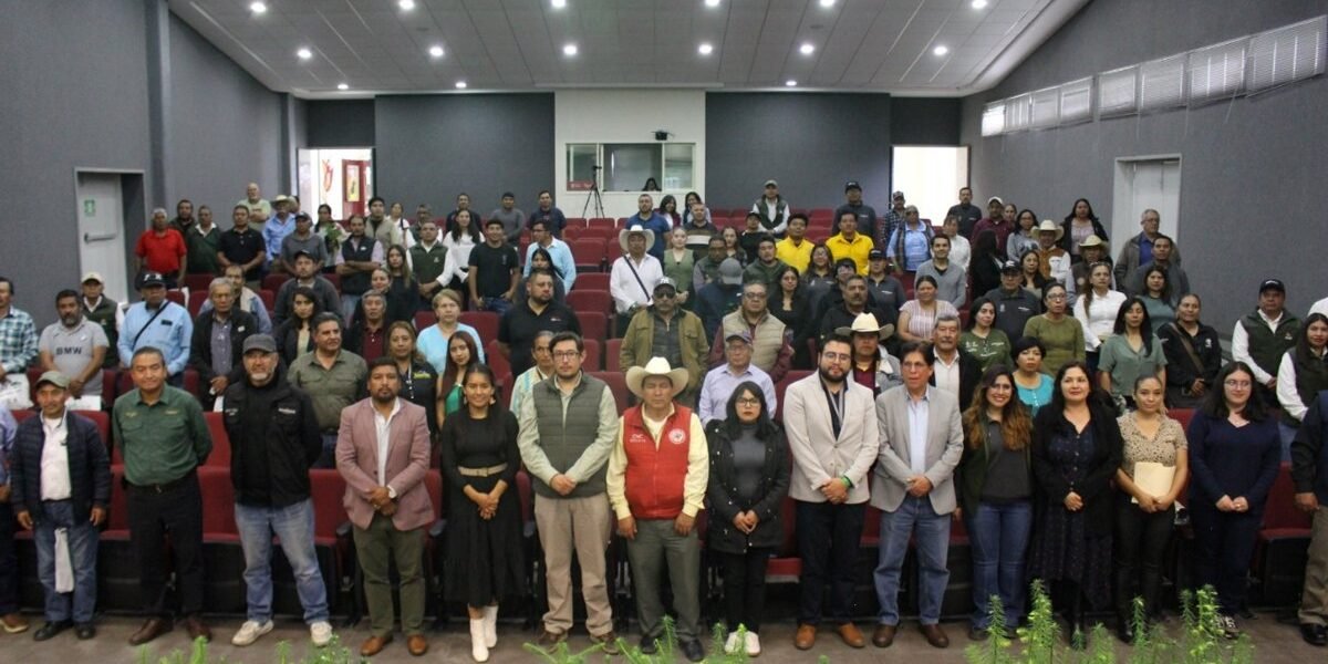 Estado de México impulsa industria forestal sustentable con innovación digital