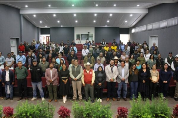 Estado de México impulsa industria forestal sustentable con innovación digital