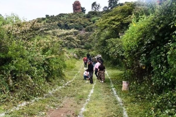 Productores agrícolas respaldan gestión de Adolfo Soriano en Ecatzingo