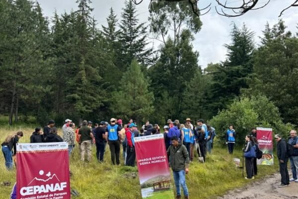 Estado de México convoca a mega reforestación con 25 mil árboles en un día