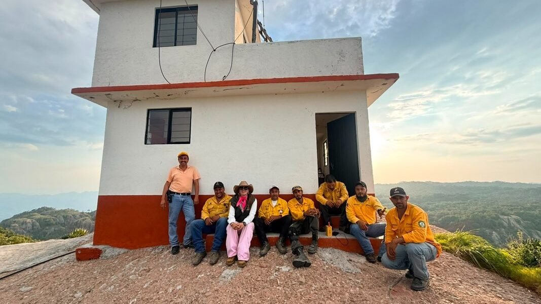 Estado rehabilita torres de vigilancia para prevenir incendios forestales en el sur