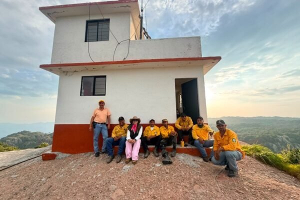 Estado rehabilita torres de vigilancia para prevenir incendios forestales en el sur