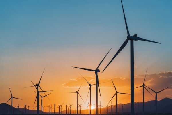 Energía y educación: los nudos que atan al México de 2026