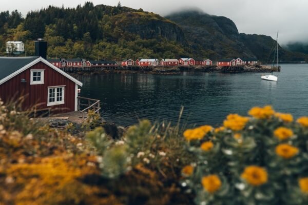 Noruega pierde a su monarca navegante: lecciones de liderazgo ambiental